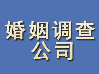 沈河婚姻调查公司